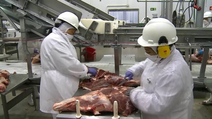 carne suina(2)