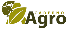 Caderno Agro