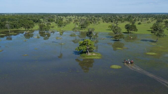 Pantanal-Flavio-Andre-de-Souza-Mtur