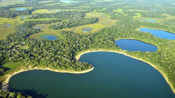 (C)Lucas Leuzinger www.Pantanal.biz