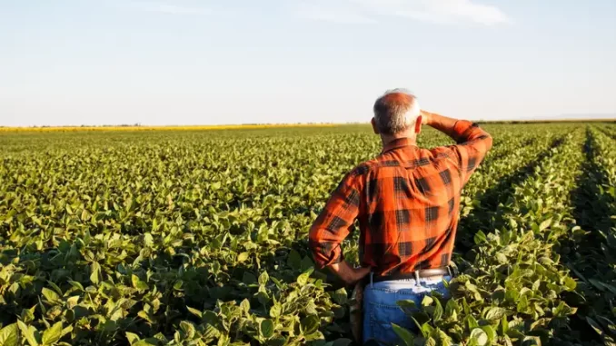 produtor_rural