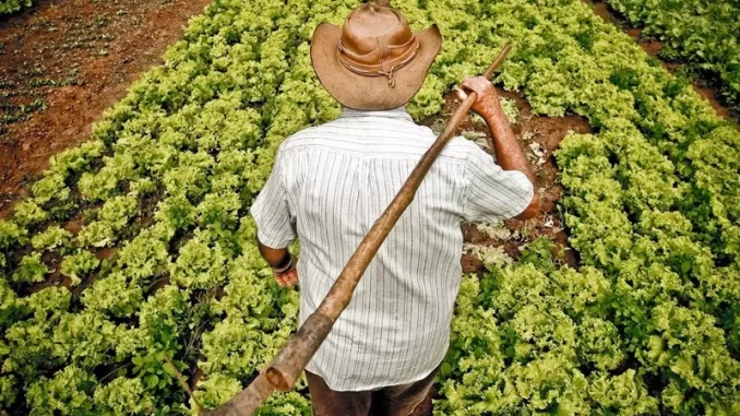 agricultura_familiar_800_0