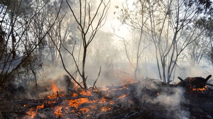 incendia-queimada-Ibama-propriedade-rural-CAR-1024x613