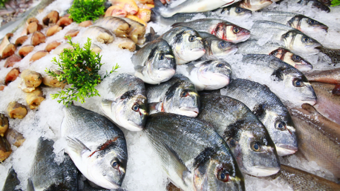 peixe
