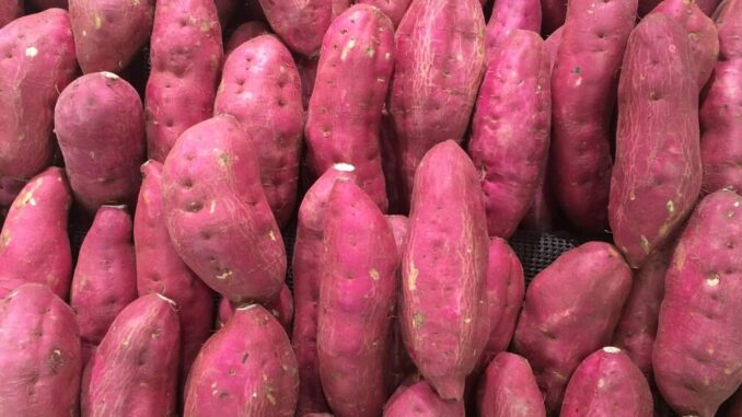 sweet-potato-1666707_1280-1140x570