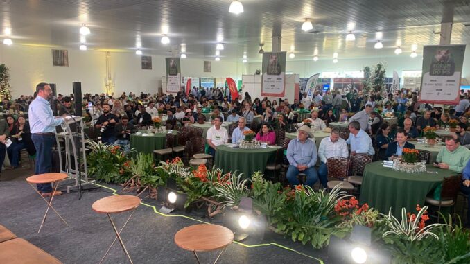 18294513052025_editor_WhatsAppImage20250513at13.59.00