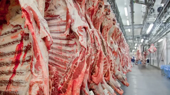 carne2
