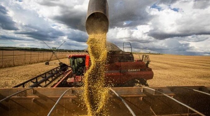 Wenderson-Araujo-Trilux-CNA-750x375