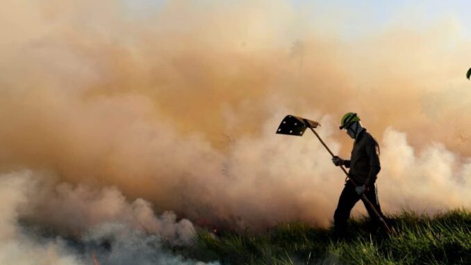 Alunos-do-corpo-de-Bombeiros-passam-por-treinamento-de-combate-Foto-Saul-Schramm5-e1718380864295-730x480-1