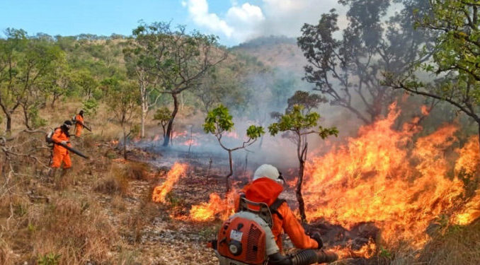 F-Focos-de-fogo-atuacao-CBM-TO-Foto-Luiz-Henrique-Machado-Governo-do-Tocantins-750x375