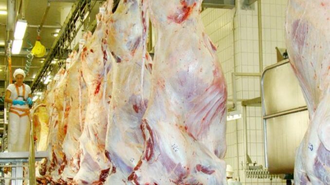 abate de bovinos (3) 900x600_0