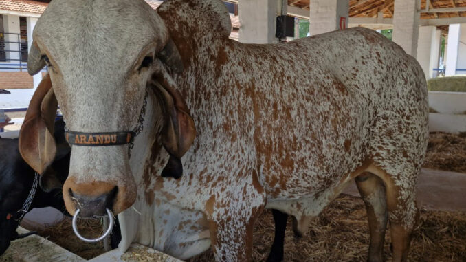 WhatsApp Image 2025-11-14 at 10.51.15