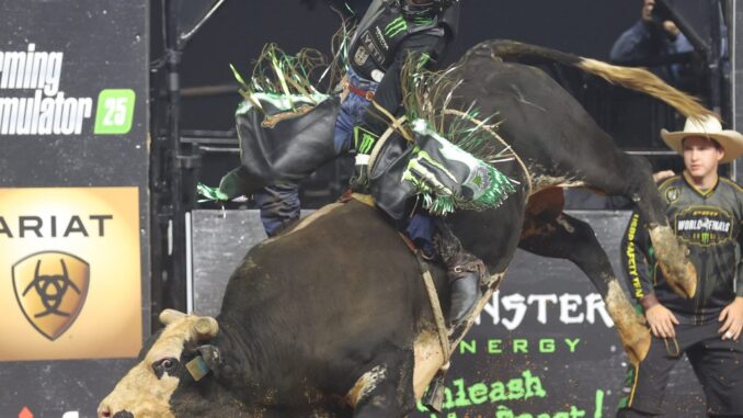 25-LIVE-WF-01-JW-538-1024x1024