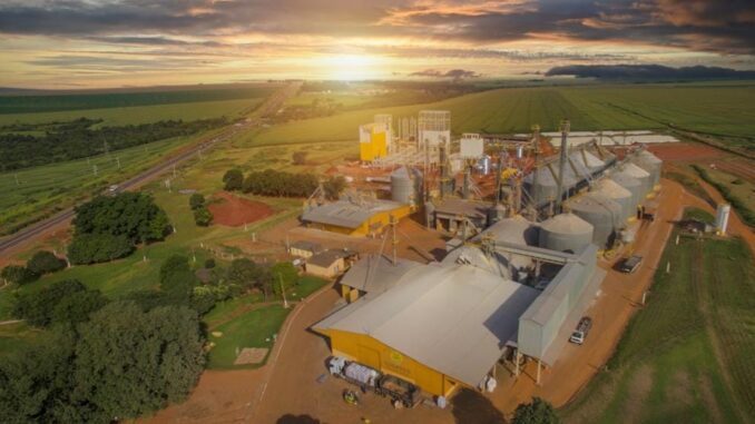 488963880_1254335960025282_5931370191773549534_n