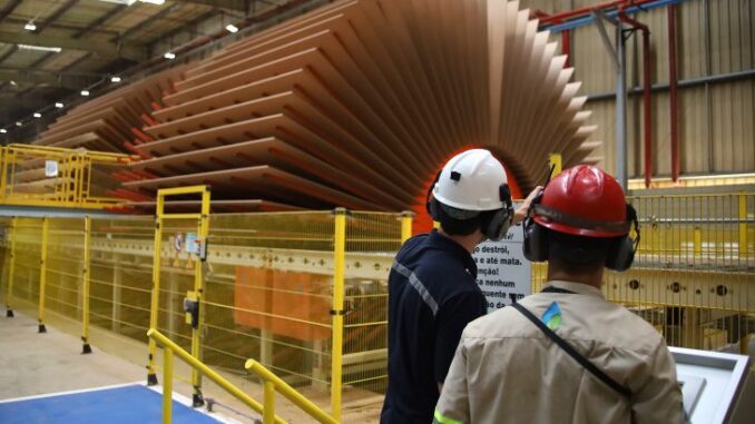 Emprego-Foto-Alvaro-Rezende-730x480