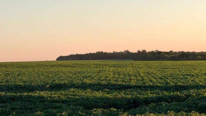 WhatsApp Image 2026-02-13 at 19.32.20_0