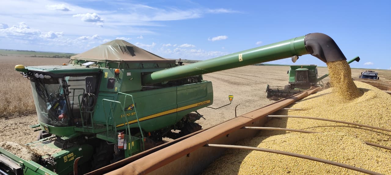 Colheita da soja alcança 6,2% e plantio do milho atinge 5,8% em MS - Caderno Agro