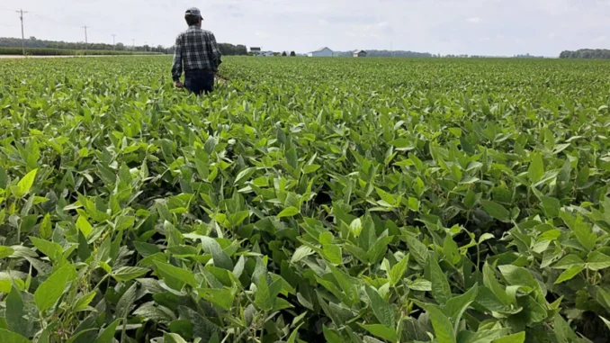 tagreuters.com2024binary_LYNXMPEK4K0OK-FILEDIMAGE