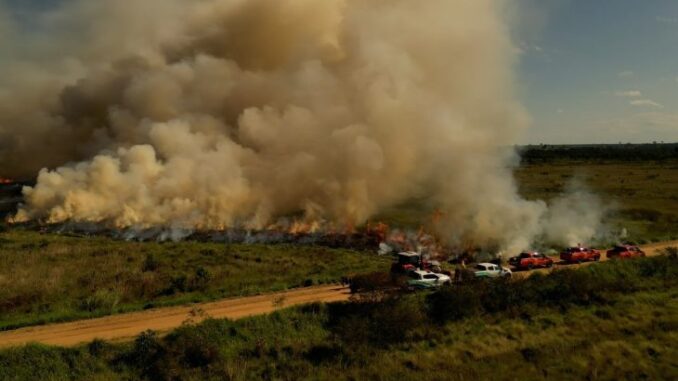MIF-Queima-Prescrita-Foto-Ewerton-Pereira-Secom-7-730x480-1