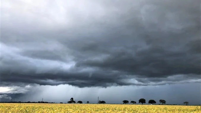 clima-chuvas-soja-2