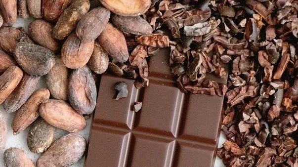 dia-do-cacau-26-marco-chocolate-e1779375460389