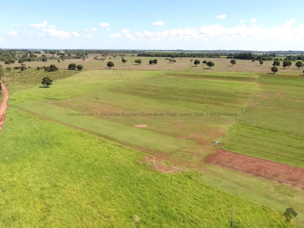 Classificado: Fazenda com fartura água para pecuária e cultivo