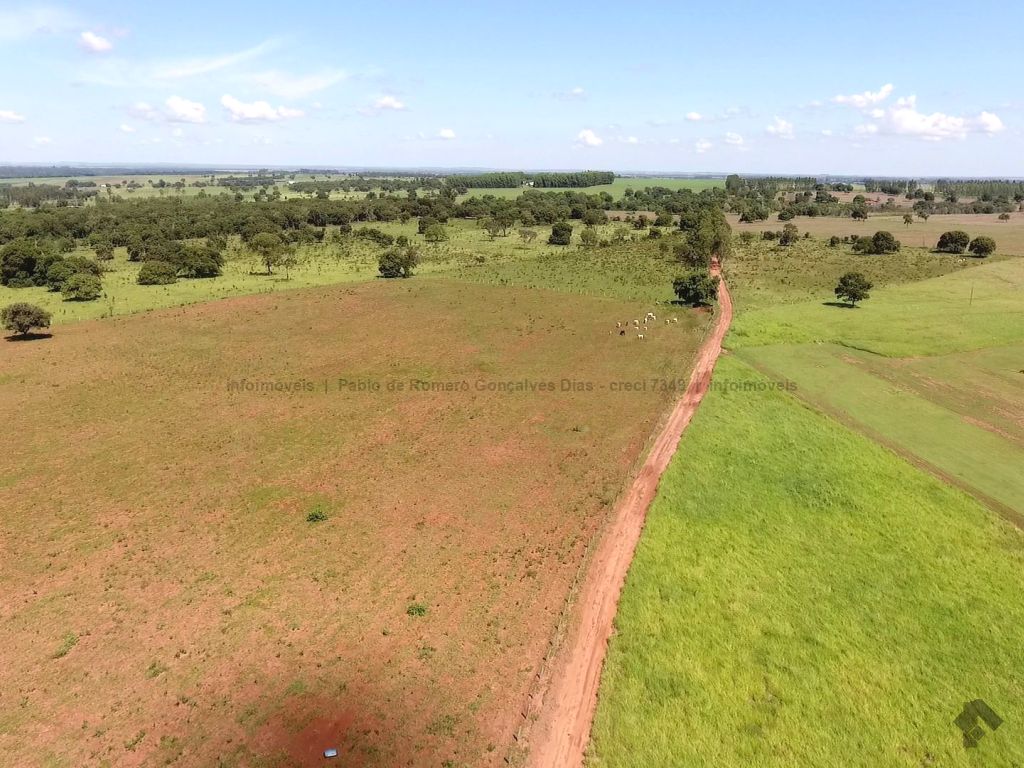 Classificado: Fazenda com fartura água para pecuária e cultivo