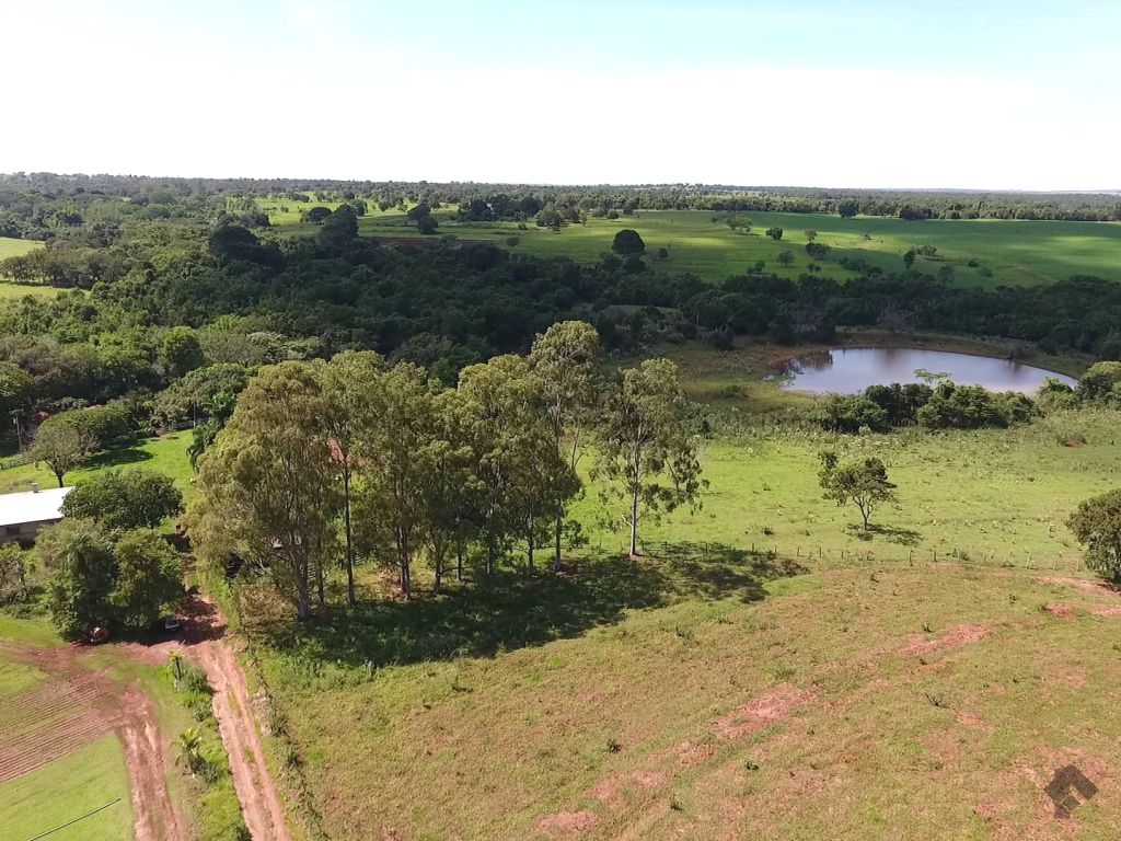 Classificado: Fazenda com fartura água para pecuária e cultivo
