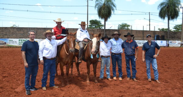 foto-01