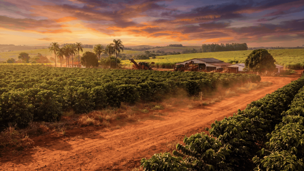 Anúncio no Caderno Agro: Safra Forte Perkal